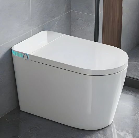 Smart Toilet With Built In Bidet And Heated Seat Dryer