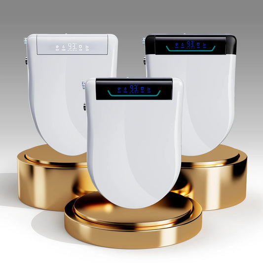 Sanyipace Elongated Smart Toilet Seat With Air Dryer And Remote