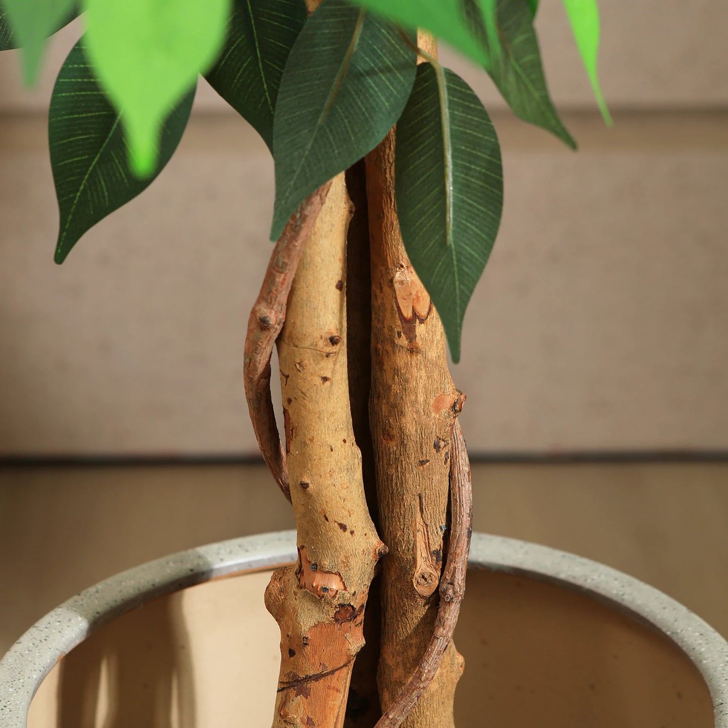 KAZEILA Artificial Ficus Tree With Natural Curved Trunk In Plastic Nursery Pot